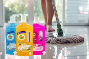 Giải đáp "Lau nhà bằng nước nóng có diệt được mầm bệnh?"