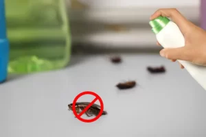 Mẹo đơn giản diệt côn trùng mùa mưa an toàn, hiệu quả