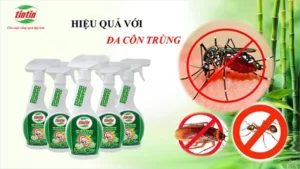 chống côn trùng mùa mưa