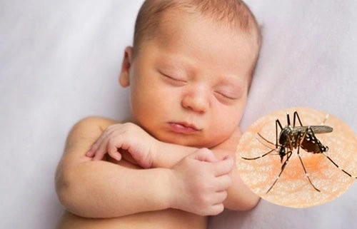 Cách cách đuổi muỗi nhanh, hiệu quả