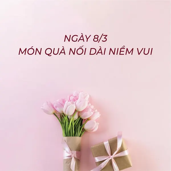 dọn nhà đón 8/3